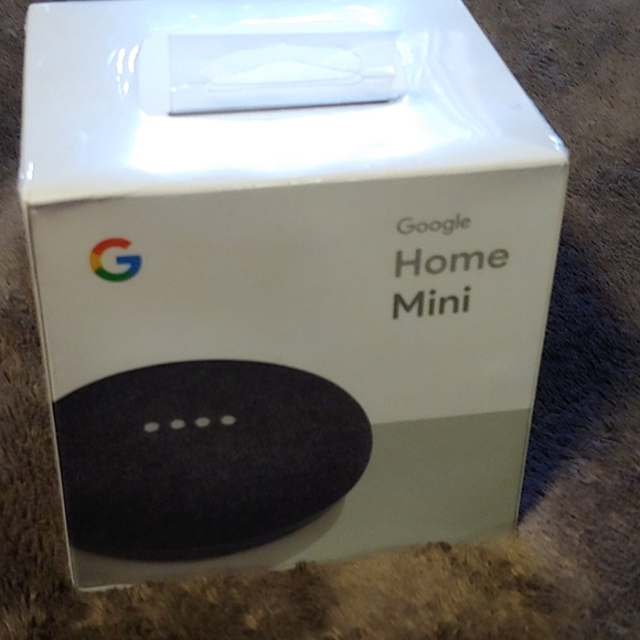 google Other - Google home mini Manufactured Seal